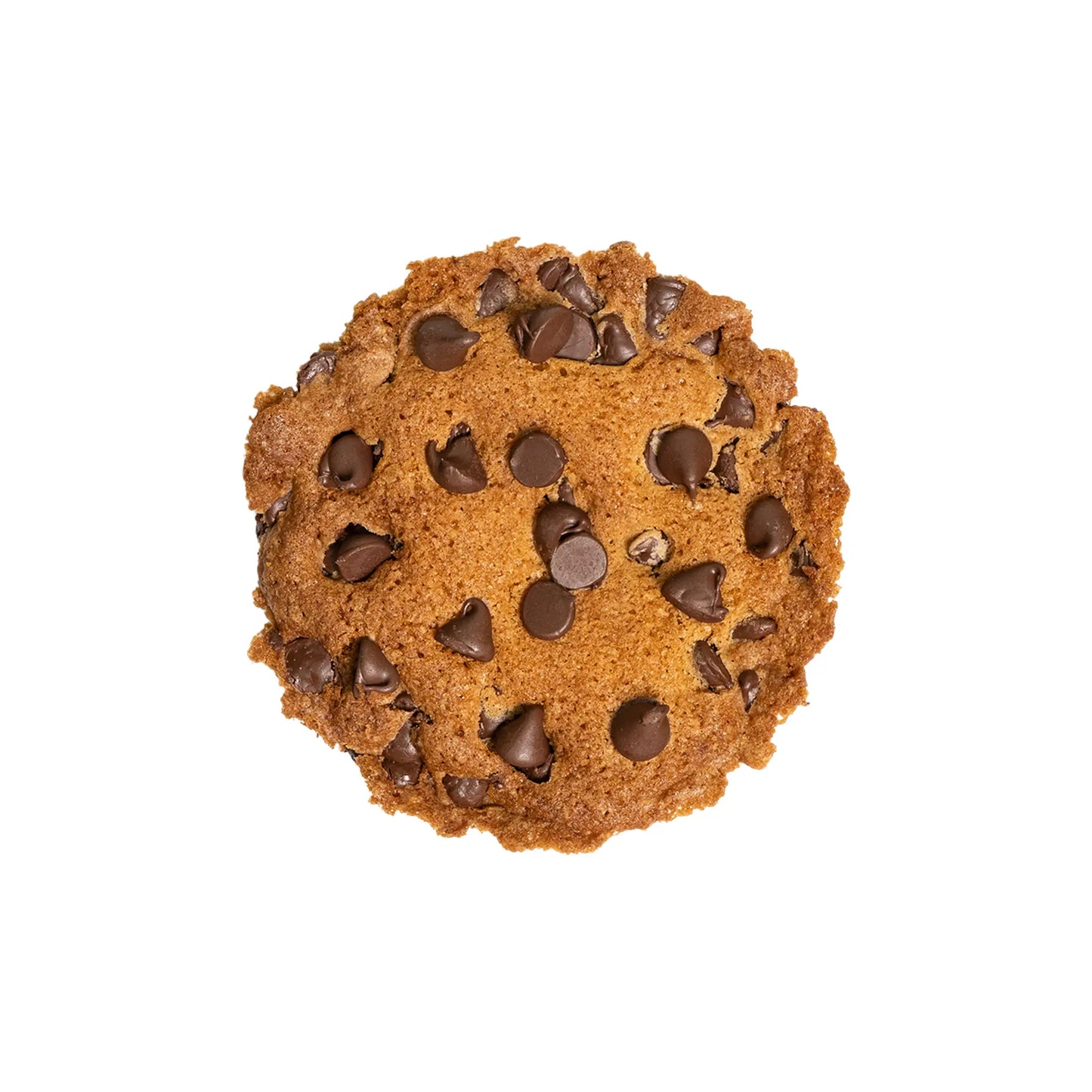 Chocolate Chip Cookie